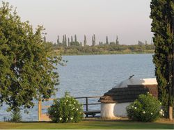 L'étang des Aulnes Lac, étang SaintMartindeCrau 13 Atout Pêcheur