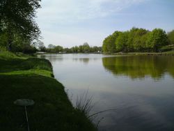 etang peche truite 36