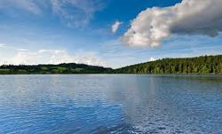etang truite 43