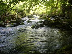 lieux rencontre loire 42