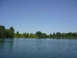 rencontre carbonne 31390