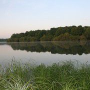 etang truite yvelines