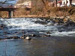 peche truite 68