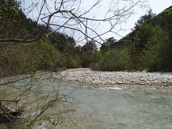 peche truite issole
