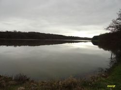 Site de rencontre aire sur adour