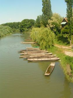 etang peche truite 67