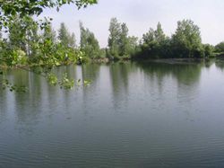 etang de peche truite 31